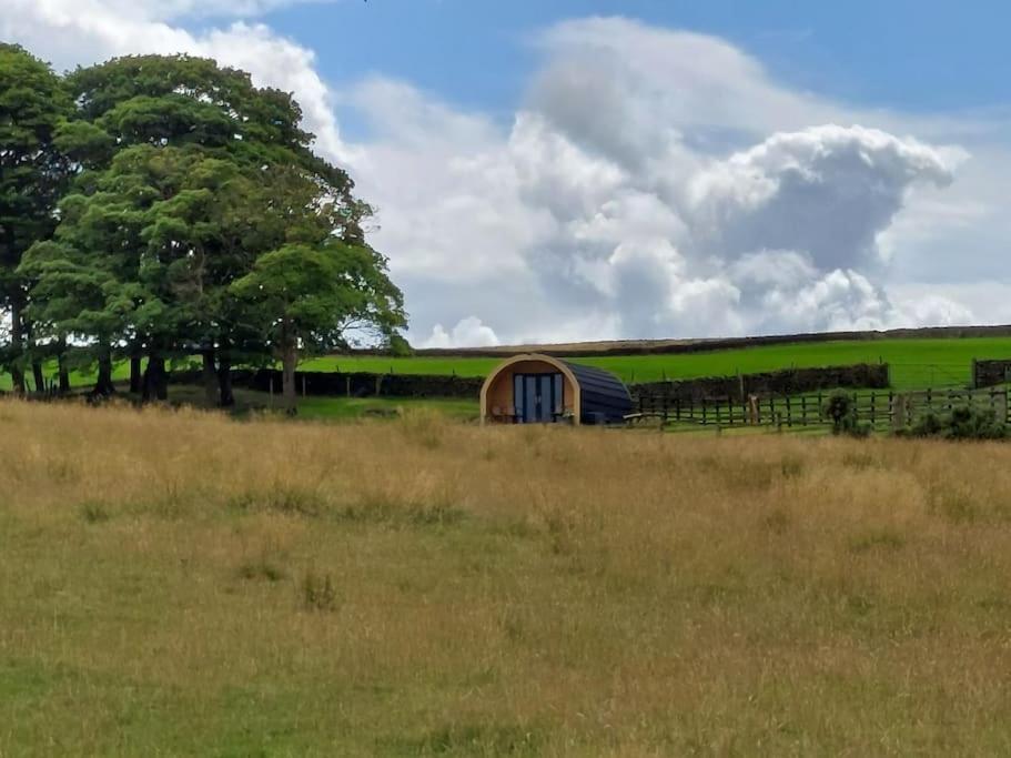 High Whashton Springs Glamping Pod, Richmond Yorks Apartment Екстериор снимка
